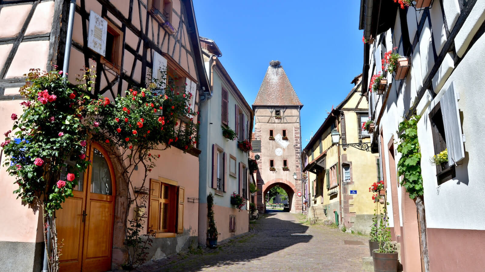 Marche Gourmande du Kaefferkopf