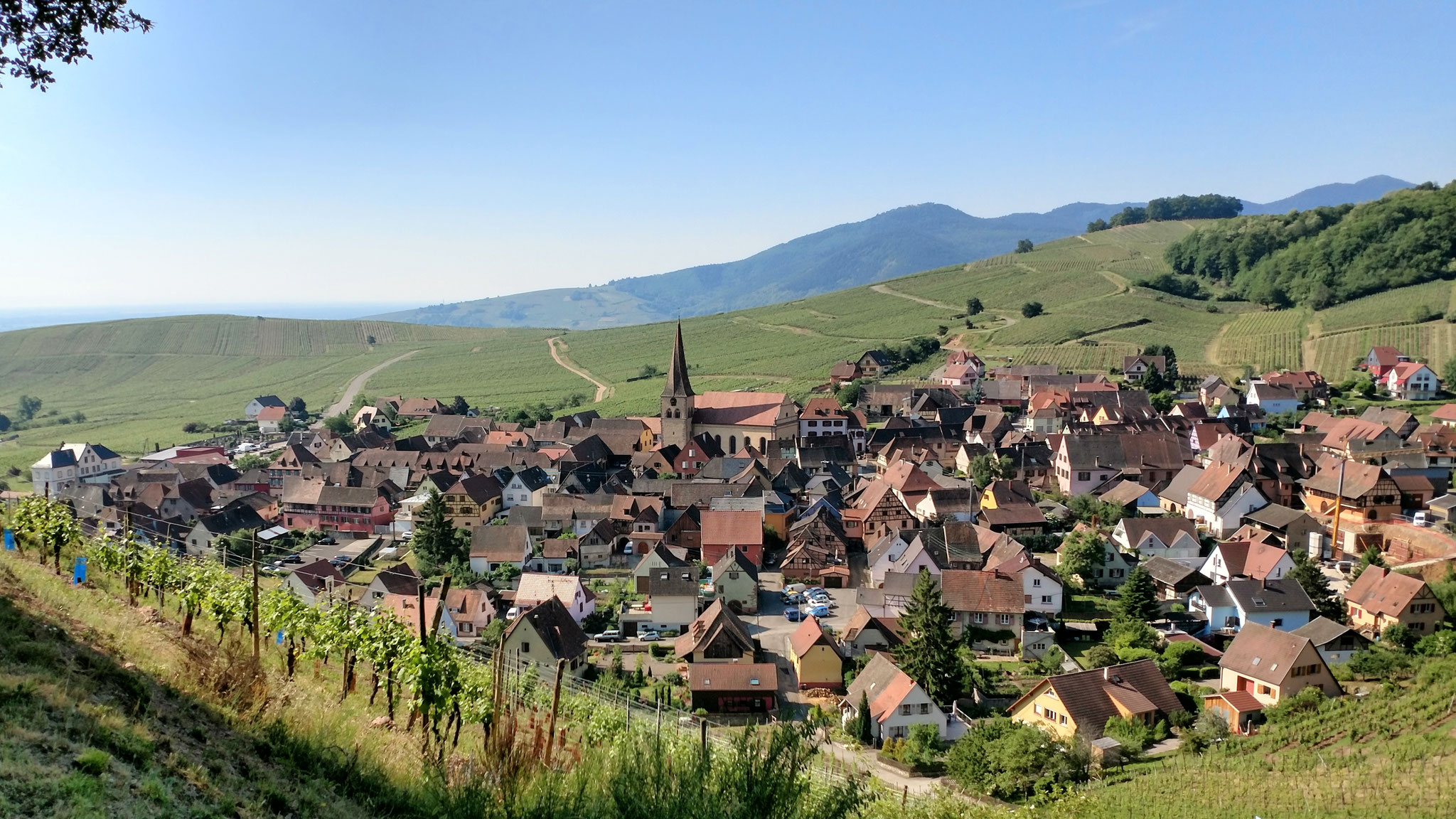 Balade Gourmande de Sommerberg