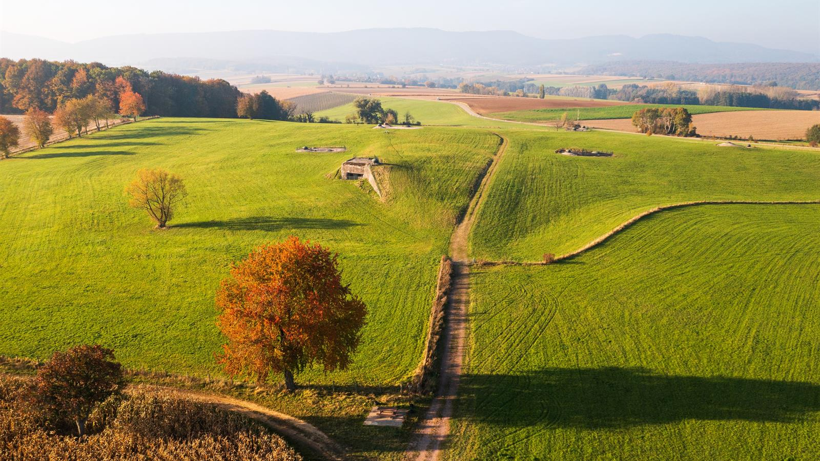 Marche Gourmande de Schoenenbourg-Memmelshoffen